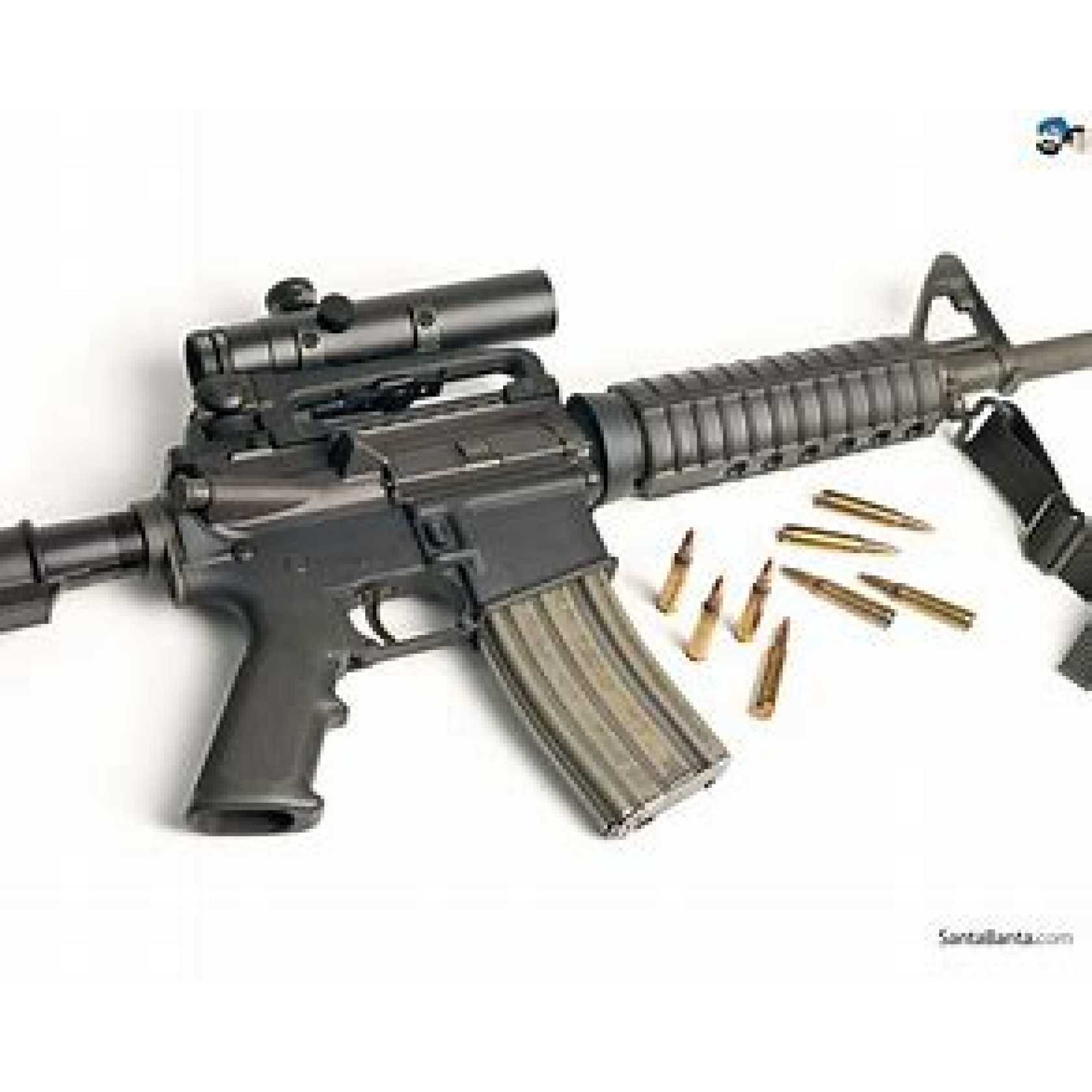 Rifle + 20 Rounds Ammunition