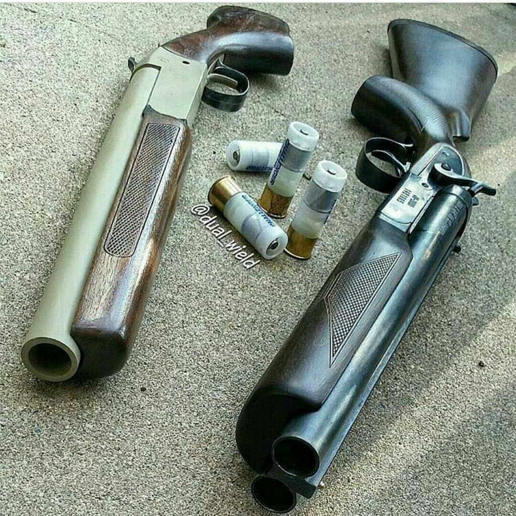 Shotgun + 15 Rounds Ammunition